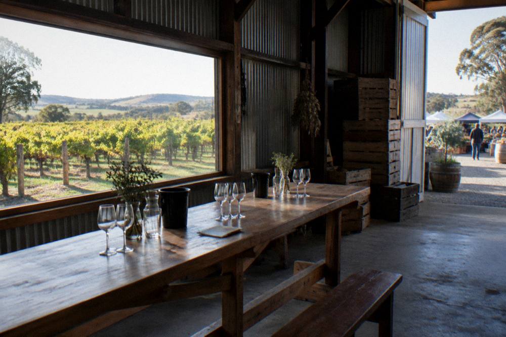 A tasting bench with glassware set out before a window overlooking vines