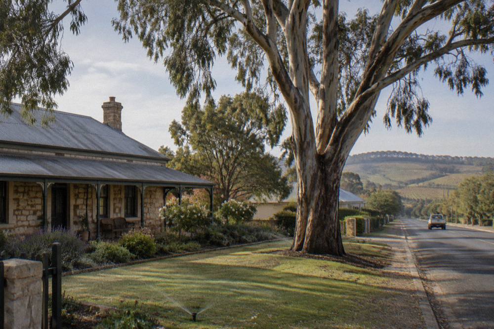 Stone cottage and gum tree on a quiet street in a Barossa Valley town