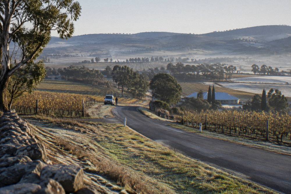 Country road winding between vineyards and low hills on a clear morning